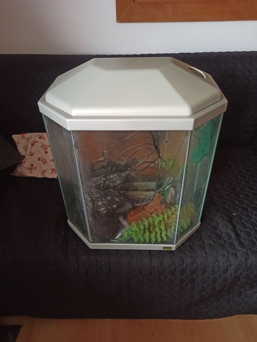Aquário com acessórios