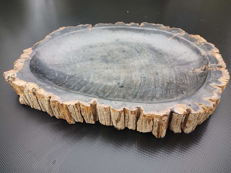 Dekoracja ze skamieniałego drewna Plaster patera39cm oryginał Indonezj