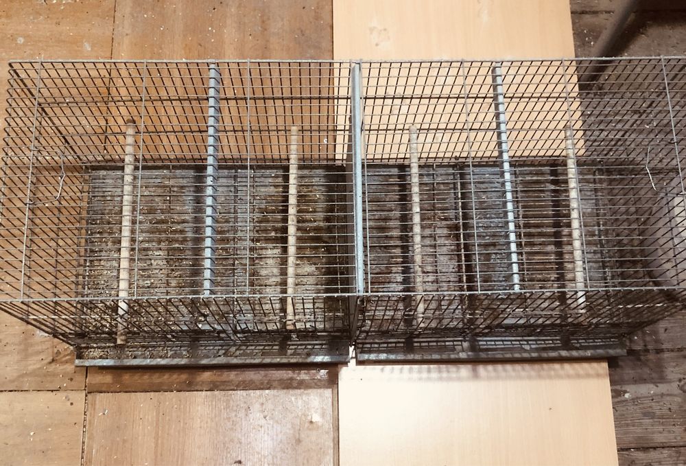 Vendo gaiola de criacão / voadeira