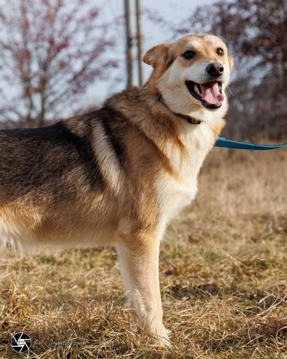 Miki rozgląda się za swoim domem