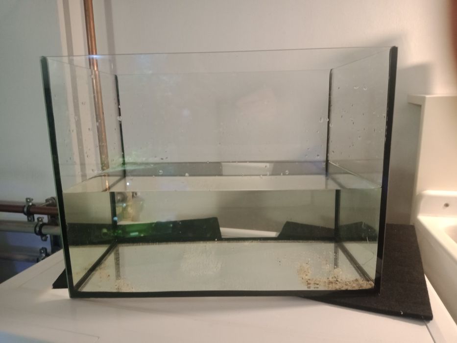 Akwarium terrarium, dla chomika