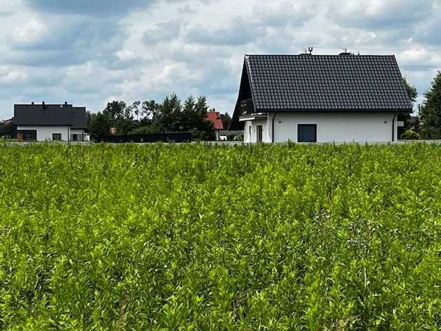 Sprzedam działki- Wierzawice - Widok 4