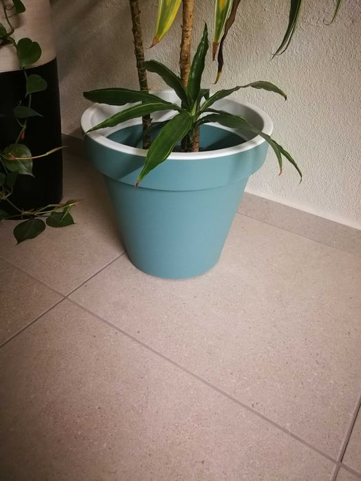 Vaso de plastico azul