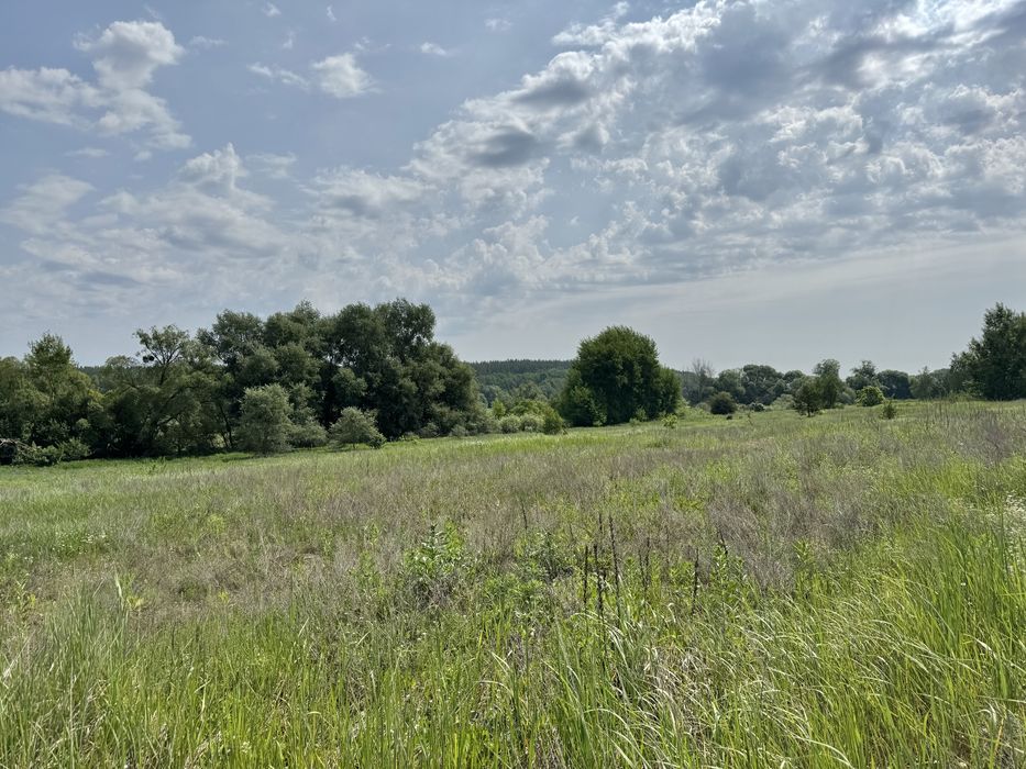 Продам 82сотки землі !!!  с.Мироцьке