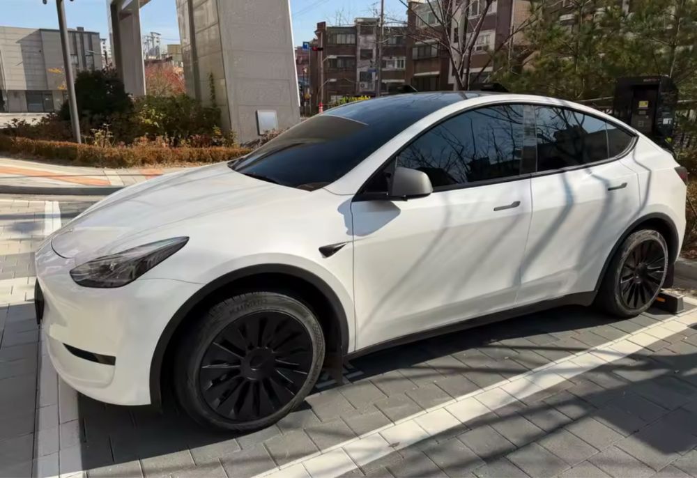 Ковпаки Tesla model Y r19