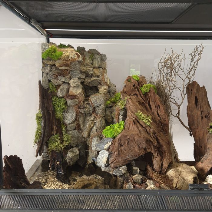 Terarium z wyposażeniem