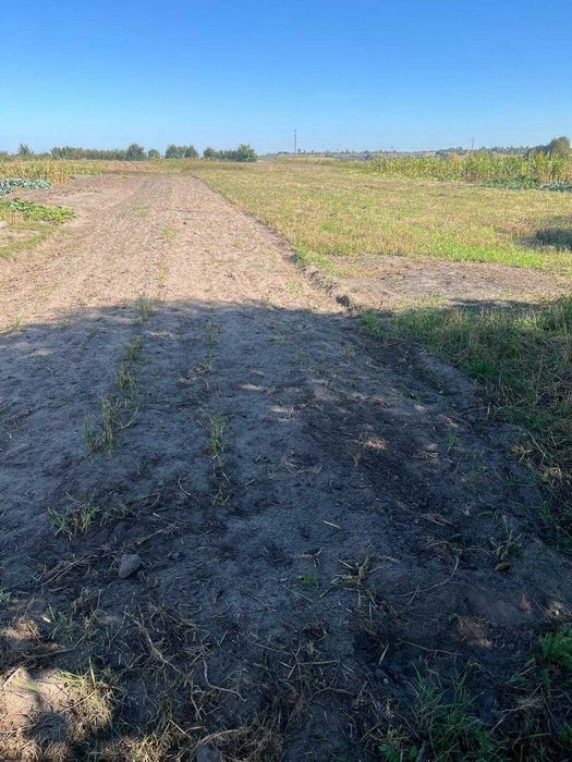 Продам будинок в Острозькому районі