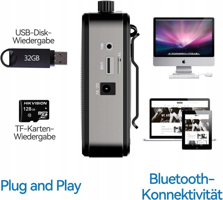 nośny WZMACNIACZ głosu GIECY G300 30 W bateria LITOWA