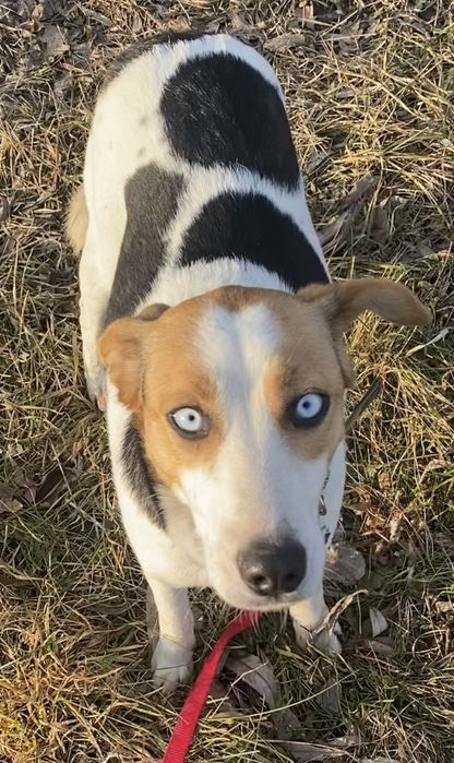 Прилаштовкється у добрі ручки !