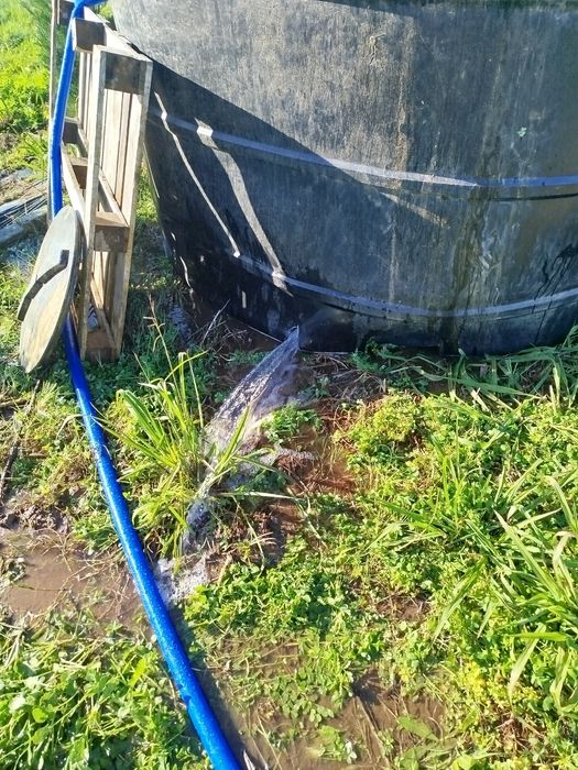 Reservatório fossa séptica para reparação