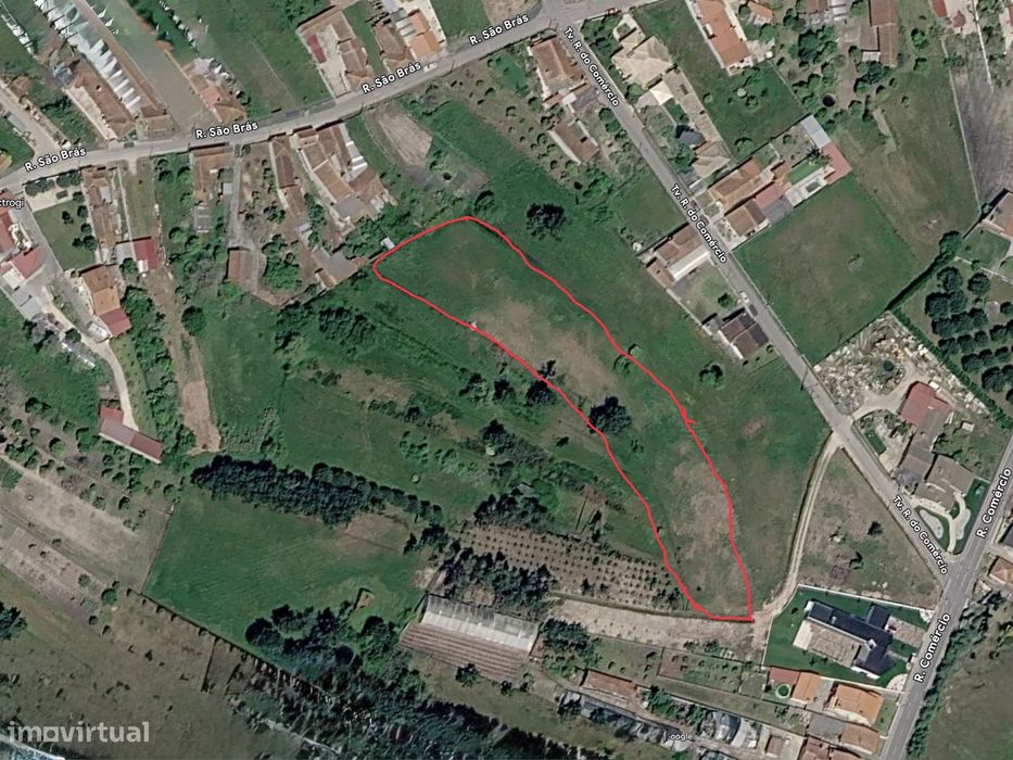 Terreno Rústico de 7000m² na Bairrada
