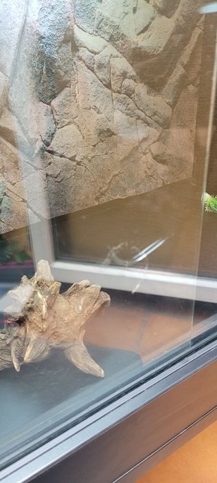 Terrarium 120x40