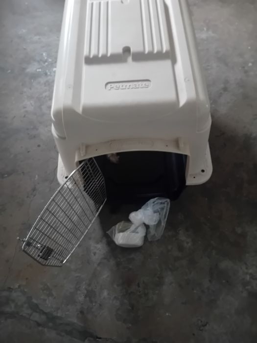 Transportadora para animais