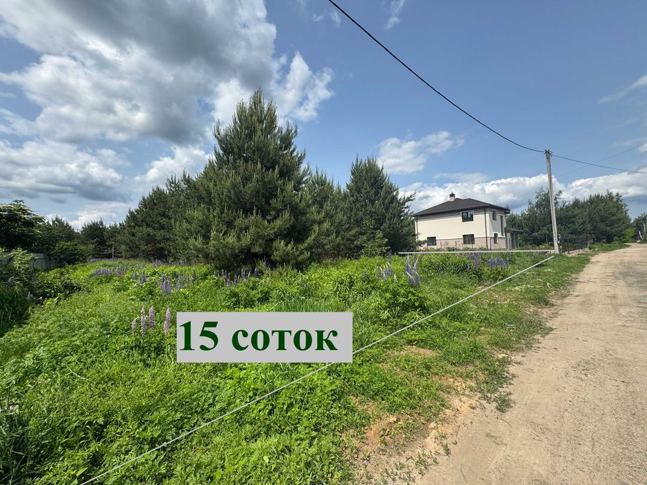 Малютянка 15 соток з соснами Продаж ділянки Еко зона