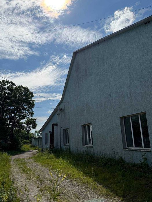 Продаж приміщень Радехів
