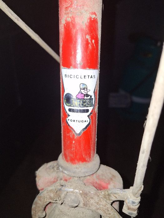 Bicicleta Senhora Confersil