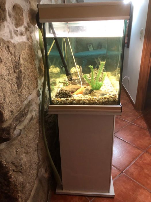 Vendo aquário 120/0.50 com movel de 1.47 de altura