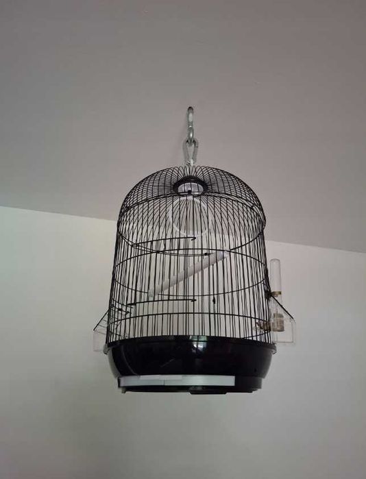 OWALNA KLATKA dla ptaków papug kanarków DUŻA woliera 33x33x53 cm