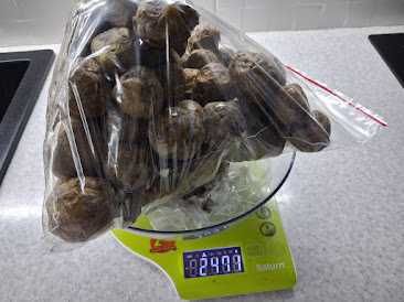 Прополіс бджолиний