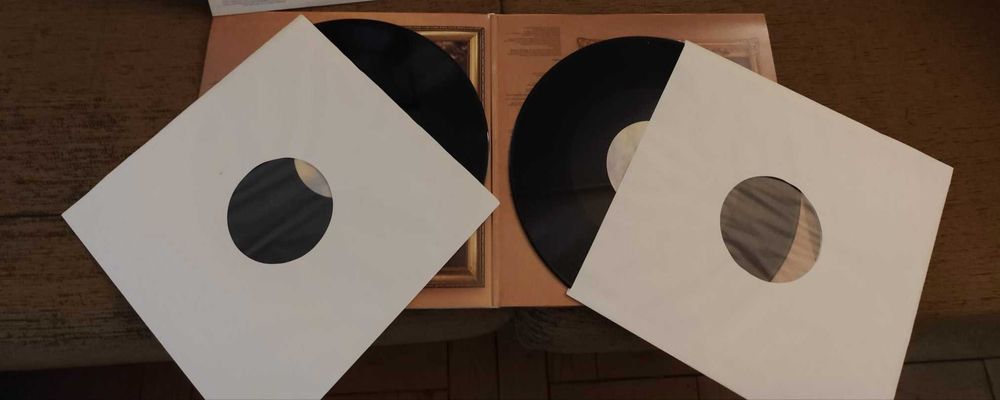 Vinil Ariana Grande