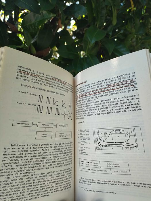 Contributo para o estudo da génese da psicomotricidade (Vítor Fonseca)