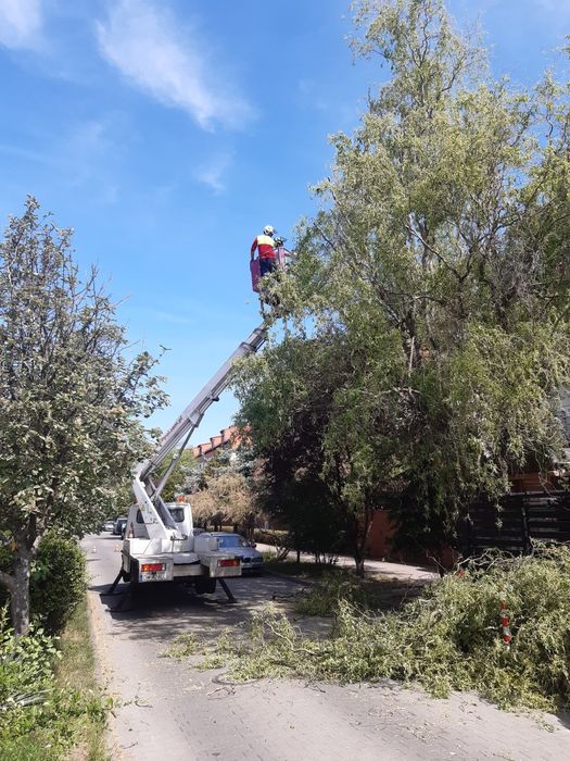 wynajem podnośnik koszowy 20m 28m wycinka drzew 507,523,564
