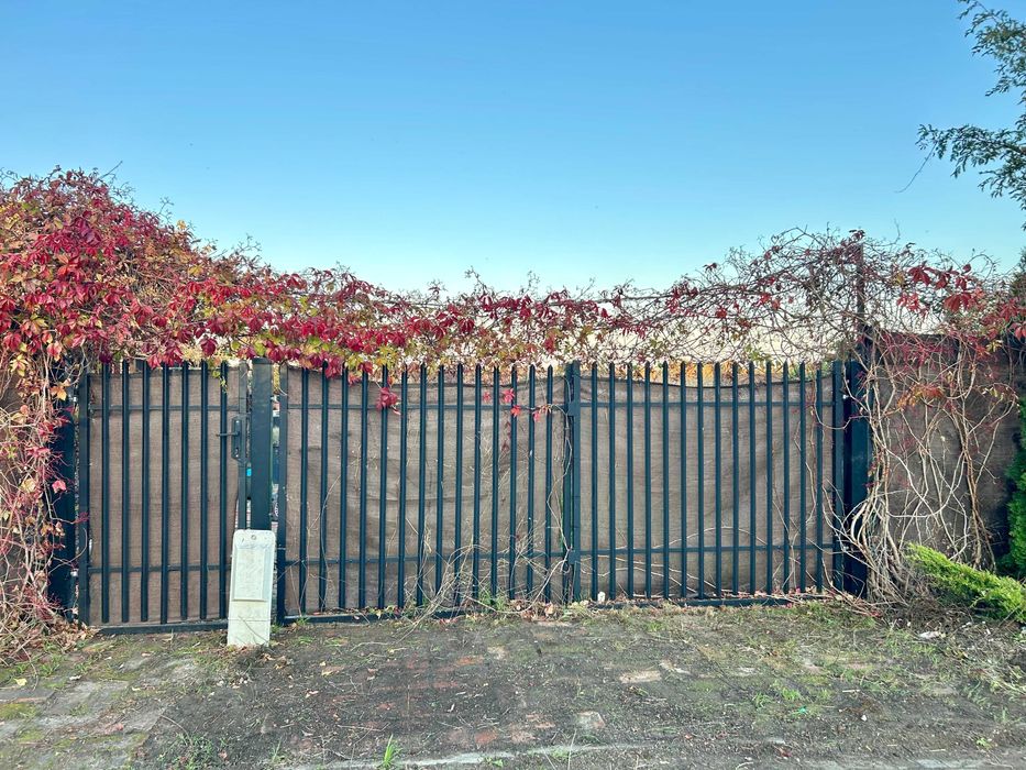 ogrodzenie z siatki z bramą, furtką i roślinami długość 20m