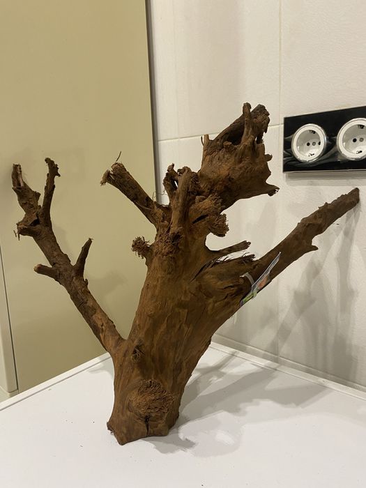 Коряга корч корень Мангровое дерево Малайзия