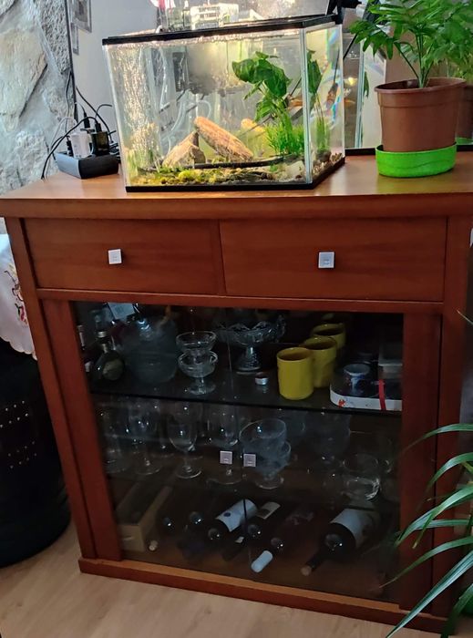 Vendo vitrine em cerejeira