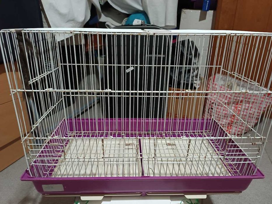 Gaiola (Foros de Amora)