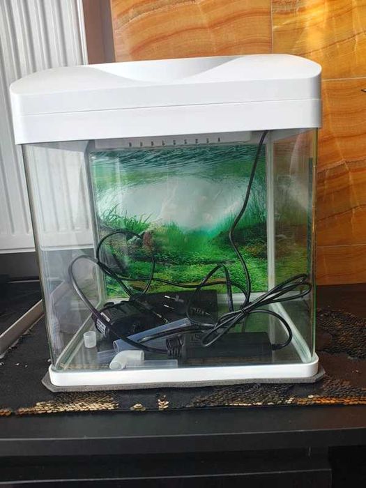 Akwarium Invital EasyTank PRO LED 16L biały