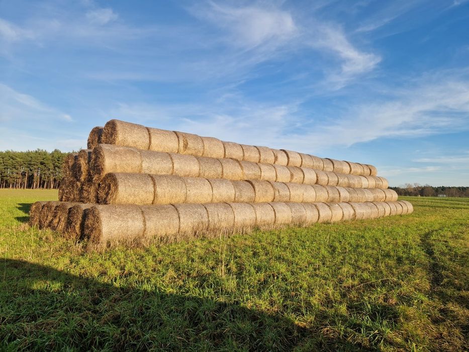 Słoma baloty 120