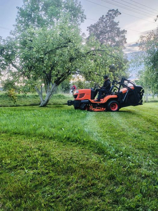 WYCINKA DRZEW, przycinanie żywopłotów, koszenie