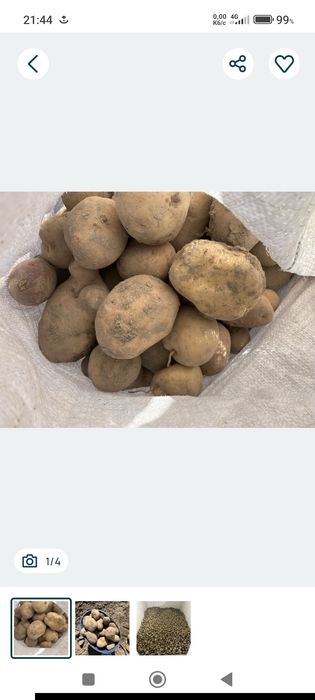 Продається домашня картопля