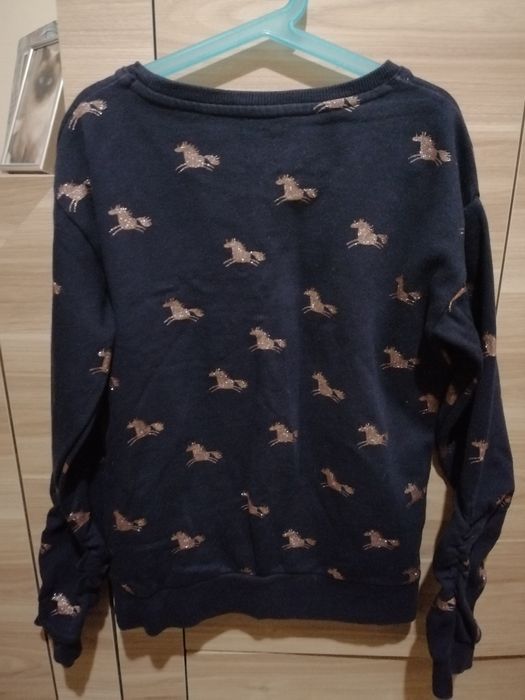 Bluzko bluza w koniki