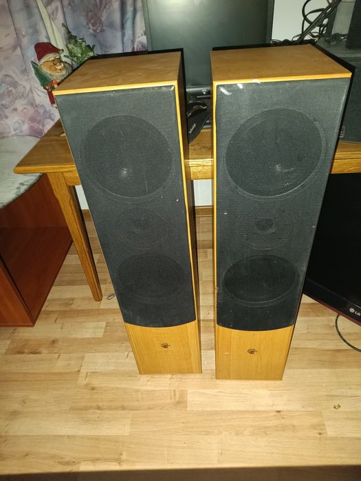 Kolumny CAT  2*380w