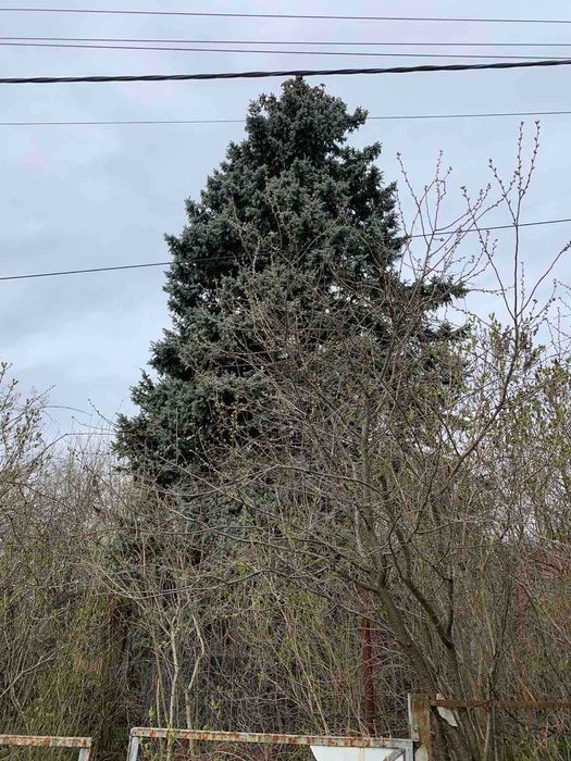 Круглик продам домик с участком