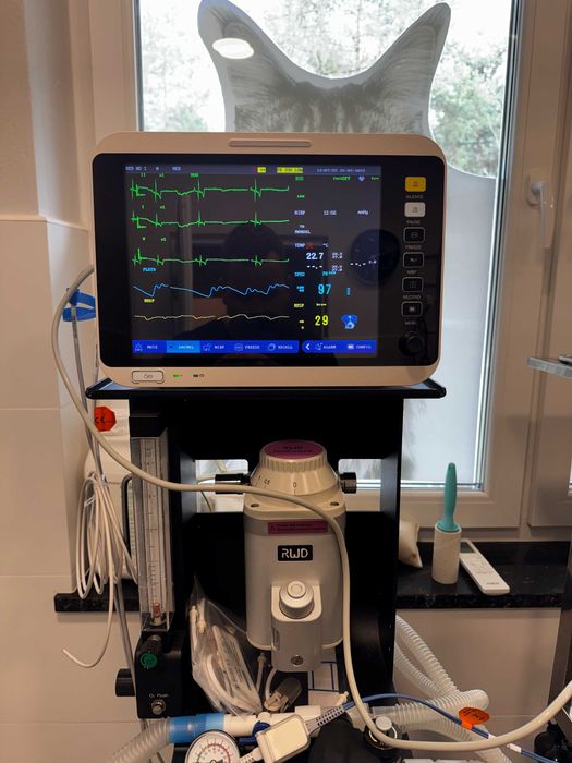 Kardiomonitor weterynaryjny dla zwierząt, monitor funkcji życiowych