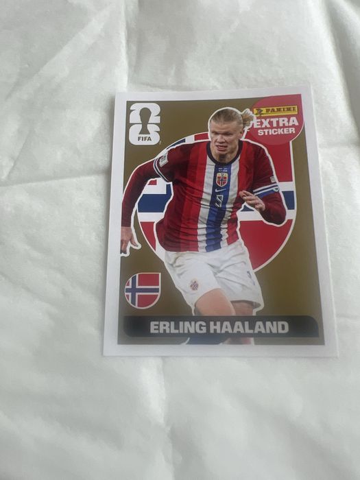 Erling Haaland em bom estado