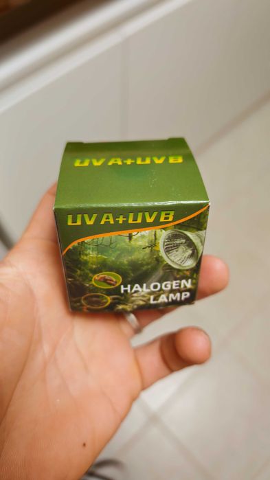Kit aquecimento réptil