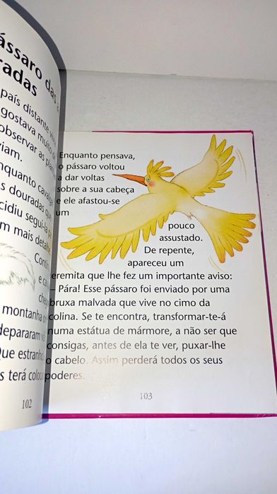 Já Leio - 20 contos Escolhidos