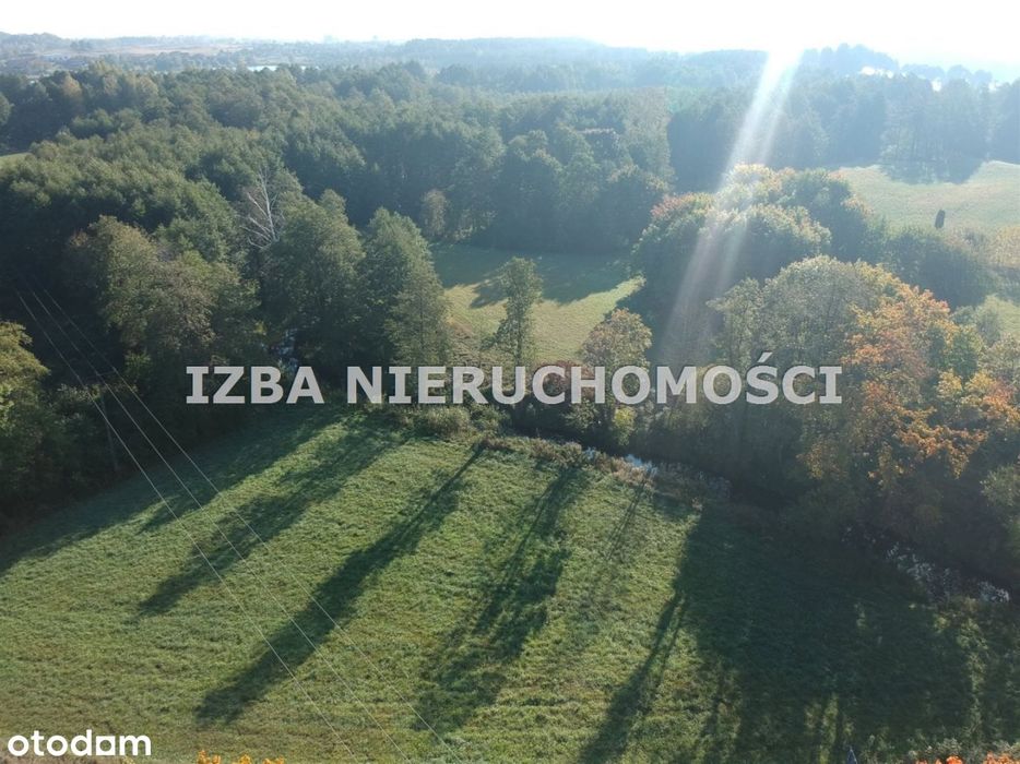 Działka, Bienie