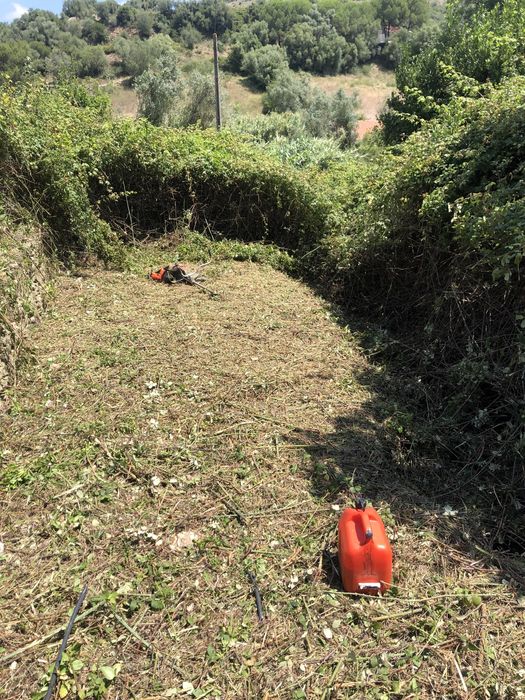 Limpeza terreno e corte arvores