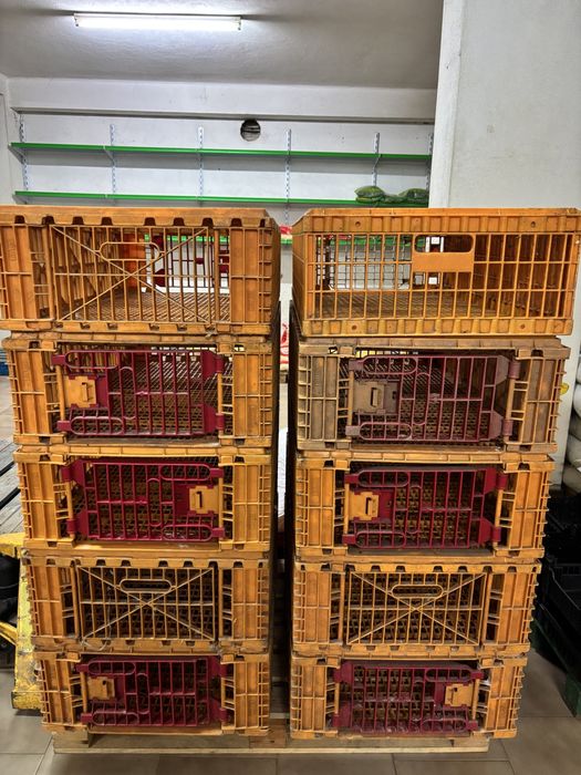 Jaulas para transporte frangos/galinhas