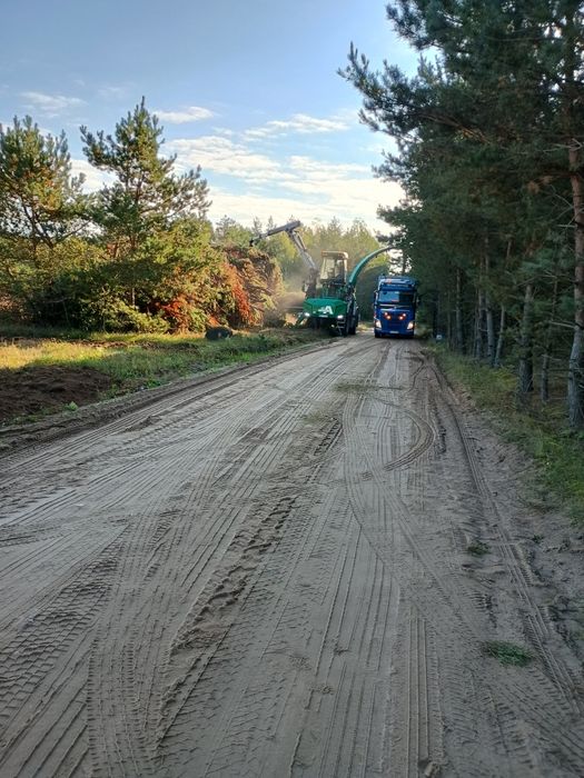 Ścinka drzew mulczer czyszczenie działek samosiewy