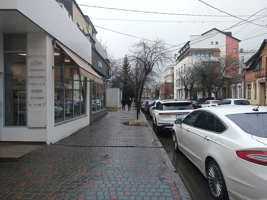 Оренда приміщення вільного призначення в Центрі