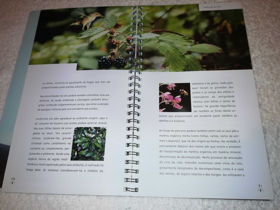 amarante (roteiro natural) 2001 livro