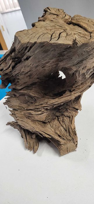 Troncos e raizes para aquario