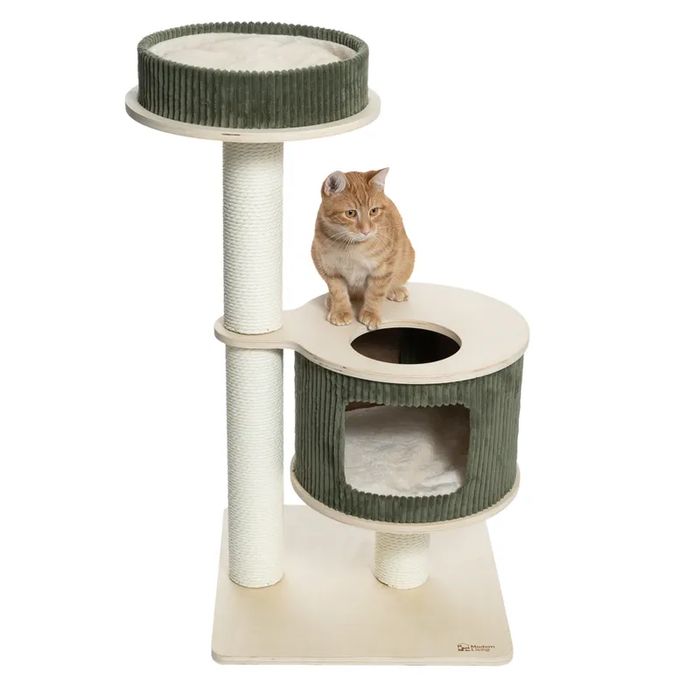 Modern Living Drapak dla Kota Helsinki S Zielony 50x50x97cm MAŁY o