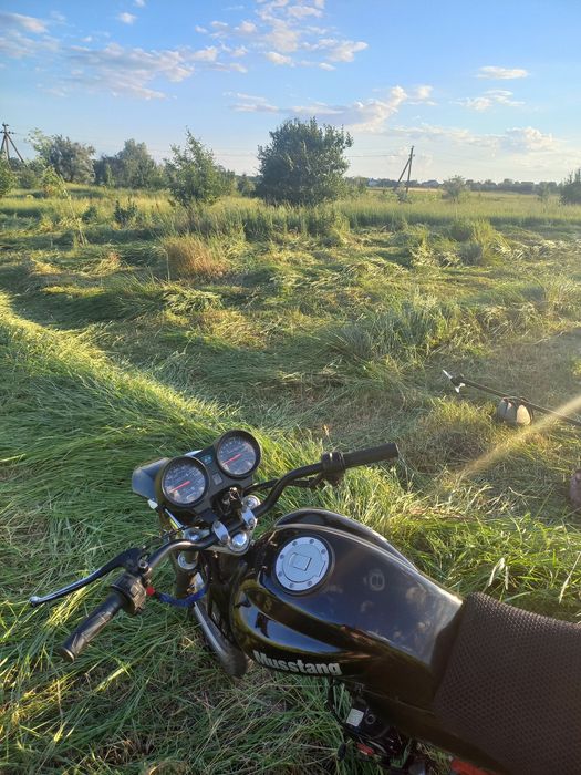 Альфа мустанг 125